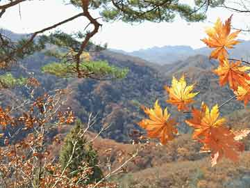 禁止某端口批处理写法